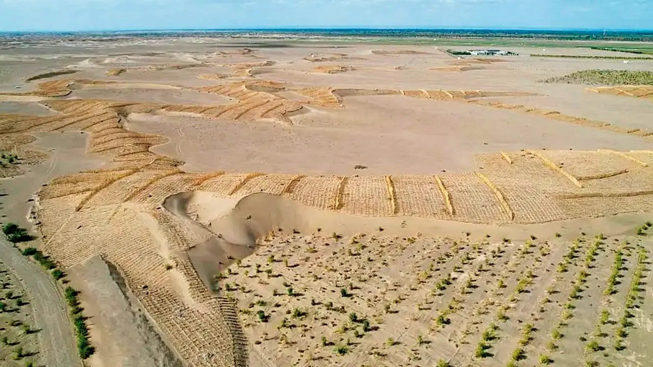 Κινέζοι ερευνητές πρωτοστατούν σε μεγάλης κλίμακας μικροβιακή προσέγγιση για τη