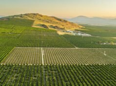 Οι επιστήμονες του ΟΗΕ προειδοποιούν τον κόσμο για παγκόσμια «χρεοκοπία του νερού»