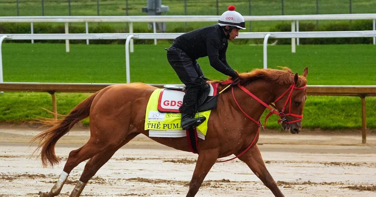 Ο Μπράιαν Καν, ντόπιος του Λος Άντζελες, ήταν χαρούμενος που εκτράφηκε ένα άλογο Ντέρμπι του Κεντάκι