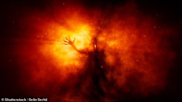 108695647-15827777-image-a-1_1779118000055.jpg