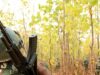 Η αστυνομία του Chhattisgarh κατάσχει όπλα, πυρομαχικά και χρήματα που ανήκουν σε Μαοϊκούς