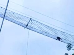 Ο Assam Gibbon κάνει μια ιστορική διάβαση σιδηροδρόμων
