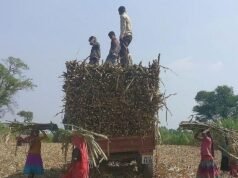 Ένας άνδρας από το Muzaffarnagar καταδικάστηκε σε ισόβια κάθειρξη για φόνο για τιμή