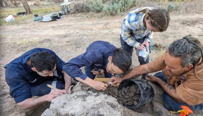 Excavation.-Photo-BQ-1131x648.jpg