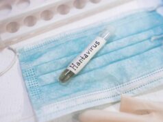 Είναι ο Hantavirus το νέο ΣΜΝ; Να γιατί μπορεί να είναι στο σπόρο σας