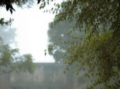 Πρόγνωση καιρού Ινδίας για σήμερα, 16 Μαΐου: Το IMD εκδίδει προειδοποίηση για βροχή και καταιγίδα σε 15 πολιτείες, πιθανό κύμα καύσωνα στο Δελχί-NCR