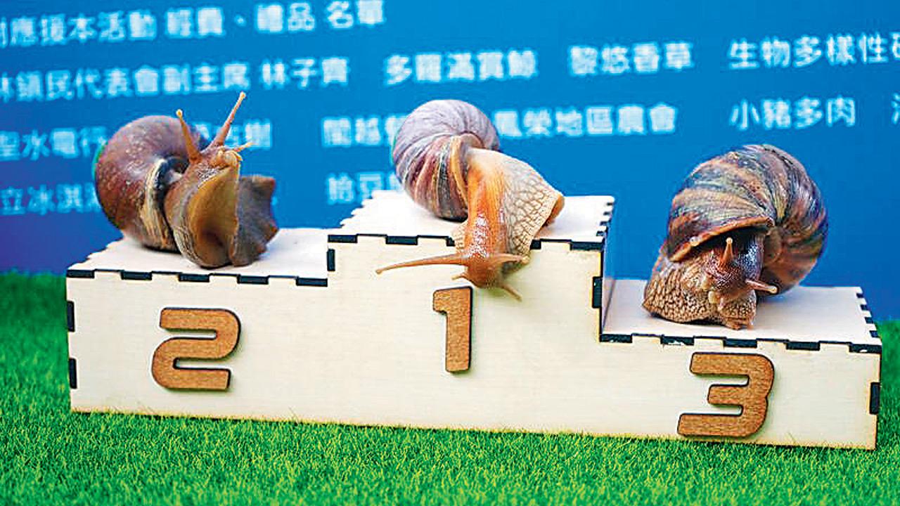 Snail-race-1777995853123_d.png