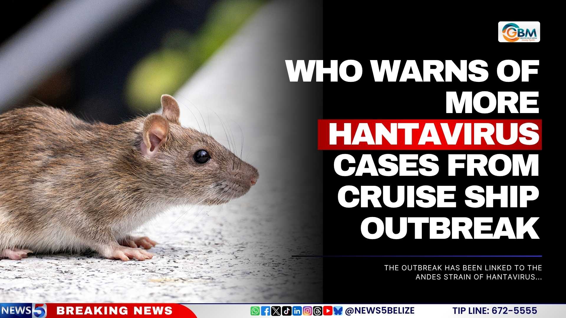 WHO-Warns-of-More-Hantavirus-Cases-From-Cruise-Ship-Outbreak.jpg