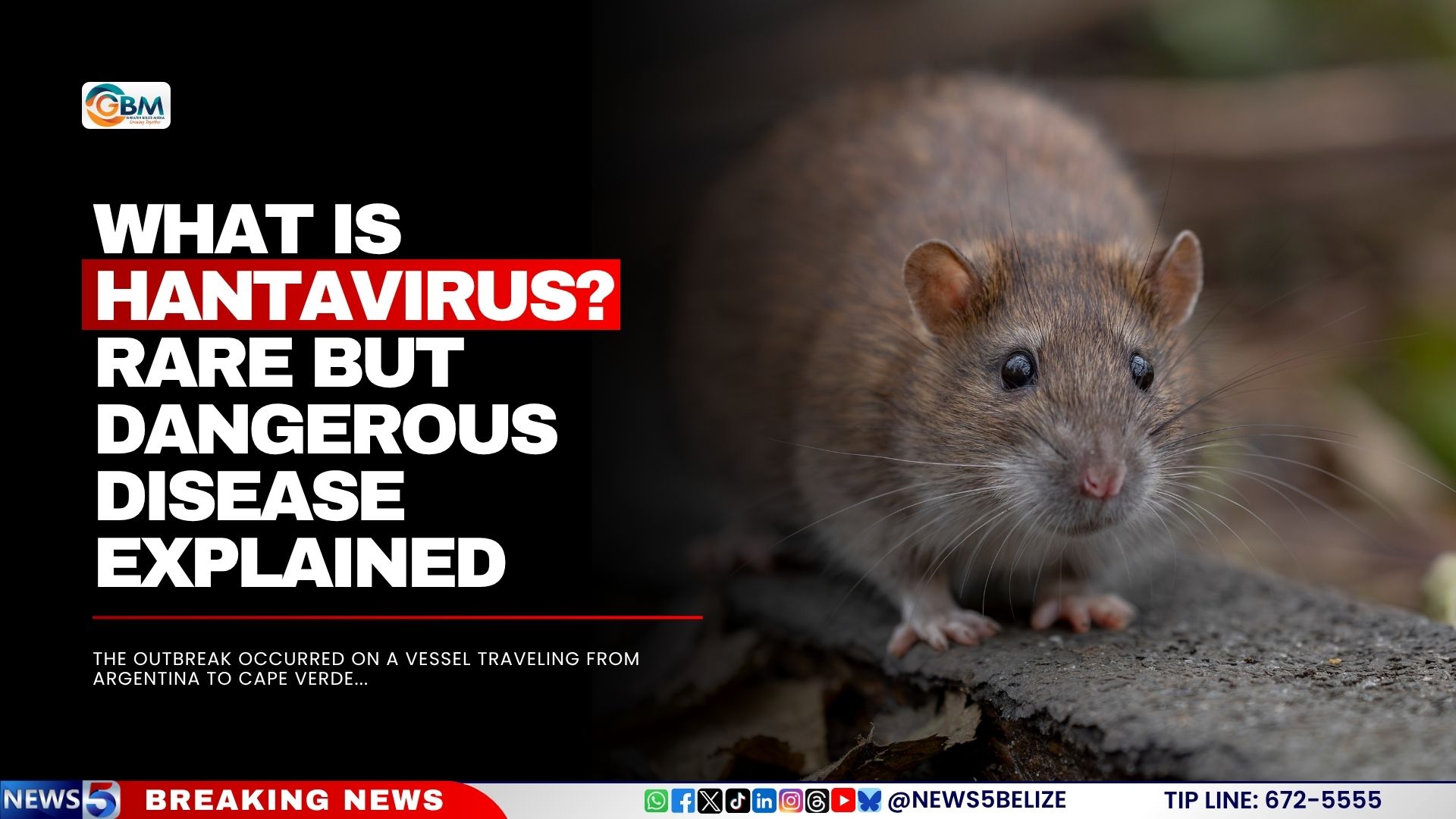 What-Is-Hantavirus-Rare-but-Dangerous-Disease-Explained.jpg