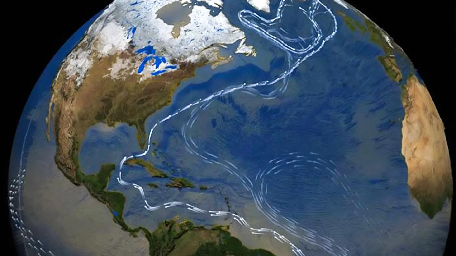 amoc-satellite-image.webp.webp