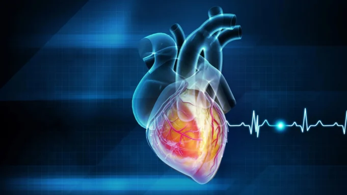 cardiology-heart-attack-disease-prevention.webp.webp