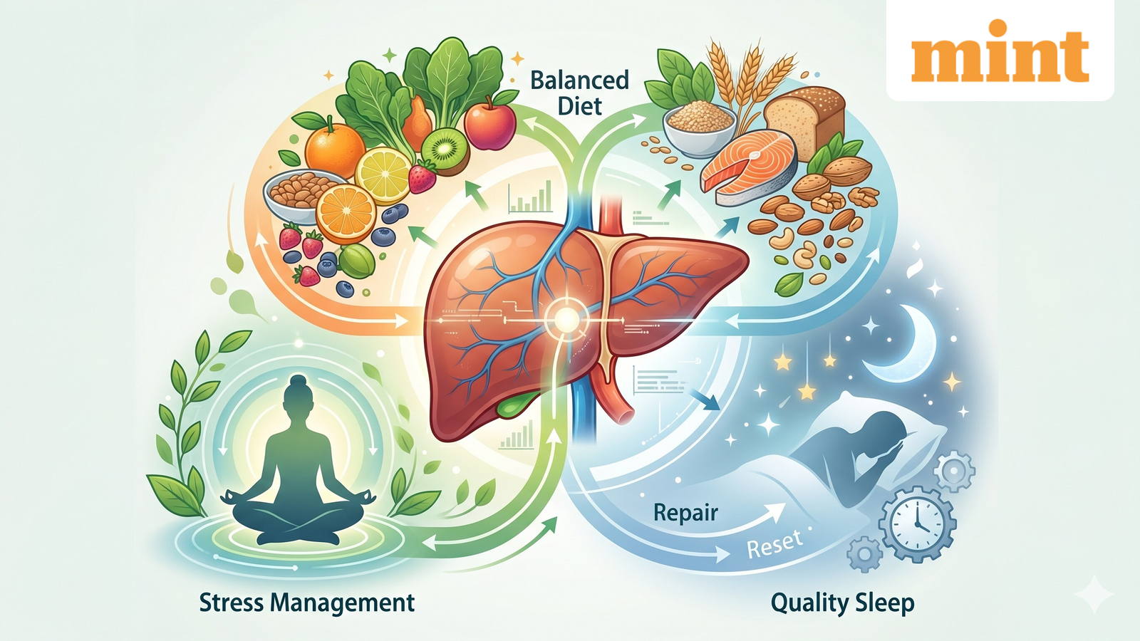 liver_1776351540627_1776351559774.png