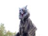 Ρομπότ «Monster Wolf» και μεγάλη ζήτηση για αρκούδες στην Ιαπωνία μετά από αριθμό ρεκόρ επιθέσεων για αποτροπή