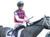 Έγινε ενέργεια με το άλογο του Kentucky Derby να πετάει λίγα λεπτά πριν από τον αναβάτη Preakness