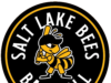 Οι μέλισσες Salt Lake εμφανίζονται στο Local Miracle League