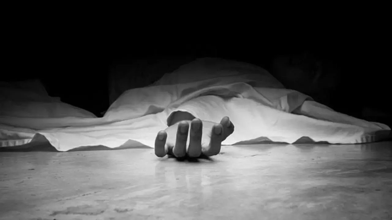 Συντριβή μικρού αεροσκάφους στο Γουίμπερλι του Τέξας, σκοτώνοντας πέντε: αξιωματούχους της κομητείας