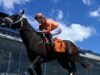Τραγικός θάνατος για τους Preakness Stakes καθώς ο ιδιοκτήτης γράφει σπαραχτικό σημείωμα